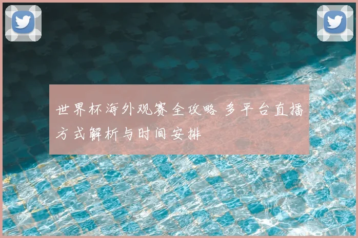 世界杯海外观赛全攻略 多平台直播方式解析与时间安排