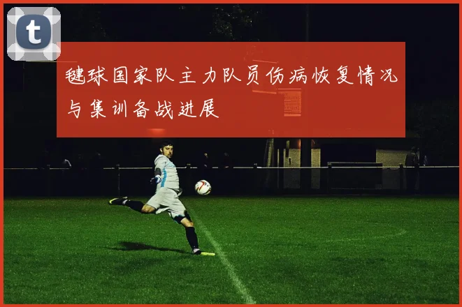 毽球国家队主力队员伤病恢复情况与集训备战进展