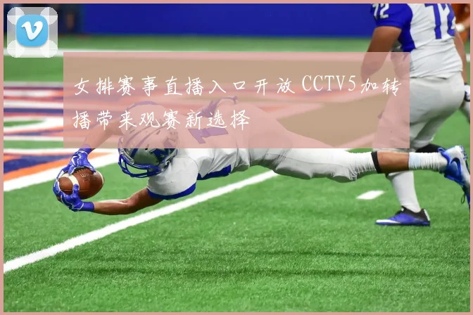 女排赛事直播入口开放 CCTV5加转播带来观赛新选择