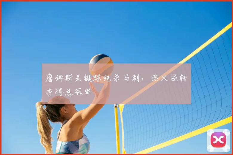 詹姆斯关键球绝杀马刺，热火逆转夺得总冠军