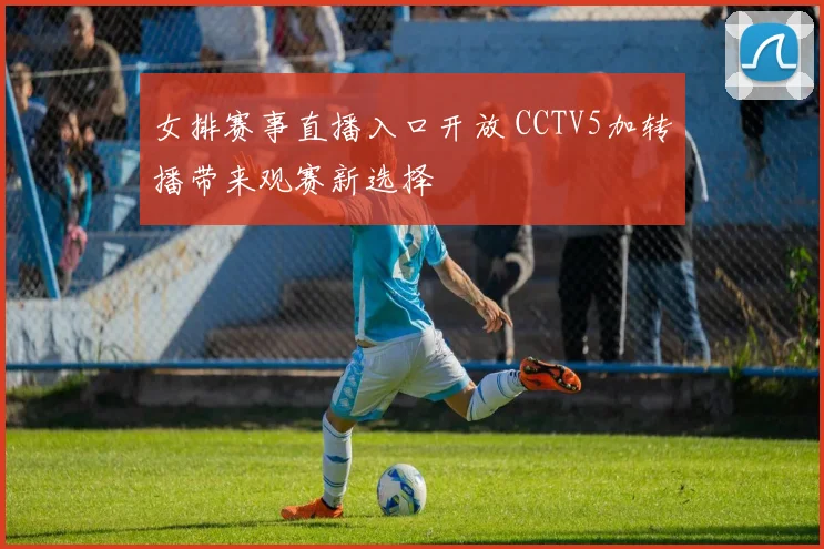 女排赛事直播入口开放 CCTV5加转播带来观赛新选择