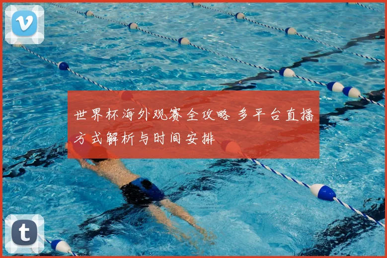 世界杯海外观赛全攻略 多平台直播方式解析与时间安排