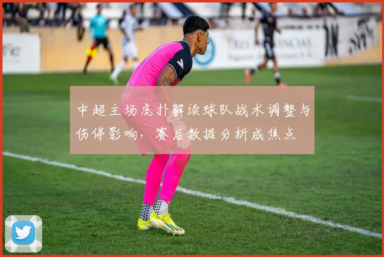 中超主场虎扑解读球队战术调整与伤停影响，赛后数据分析成焦点