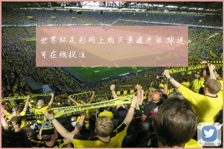 世界杯足彩网上购买渠道开放 球迷可在线投注